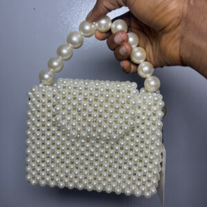 Regal Essence Beaded Bag