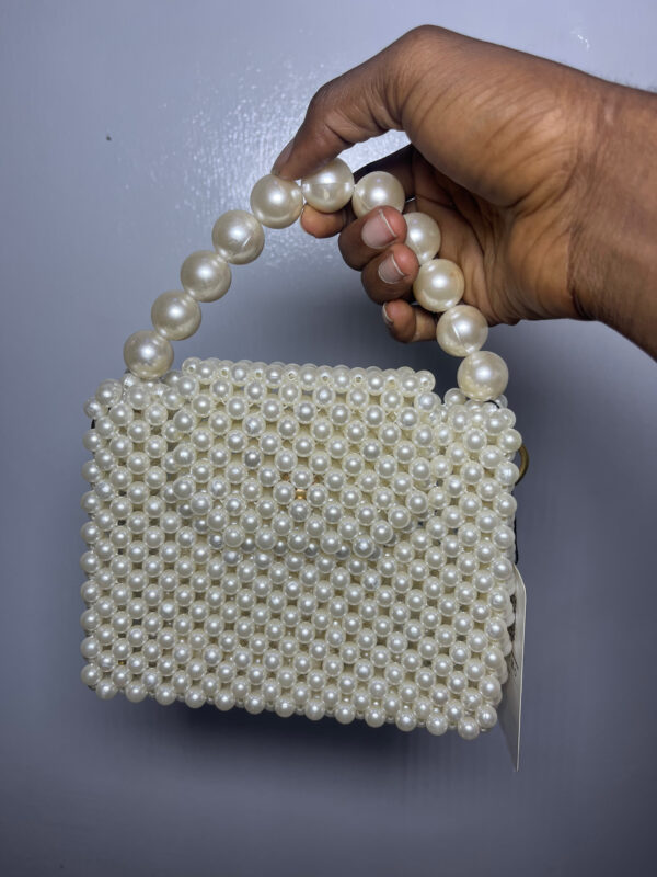 Regal Essence Beaded Bag